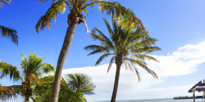 اختبار القيادة في ولاية فلوريدا